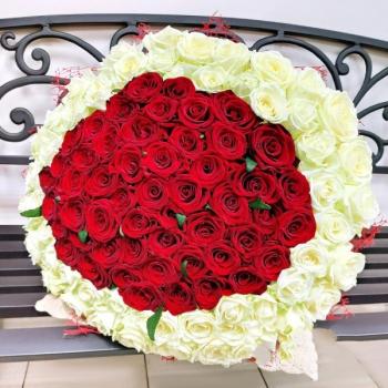 Букет 101 красно-белая роза №: 146450ulan