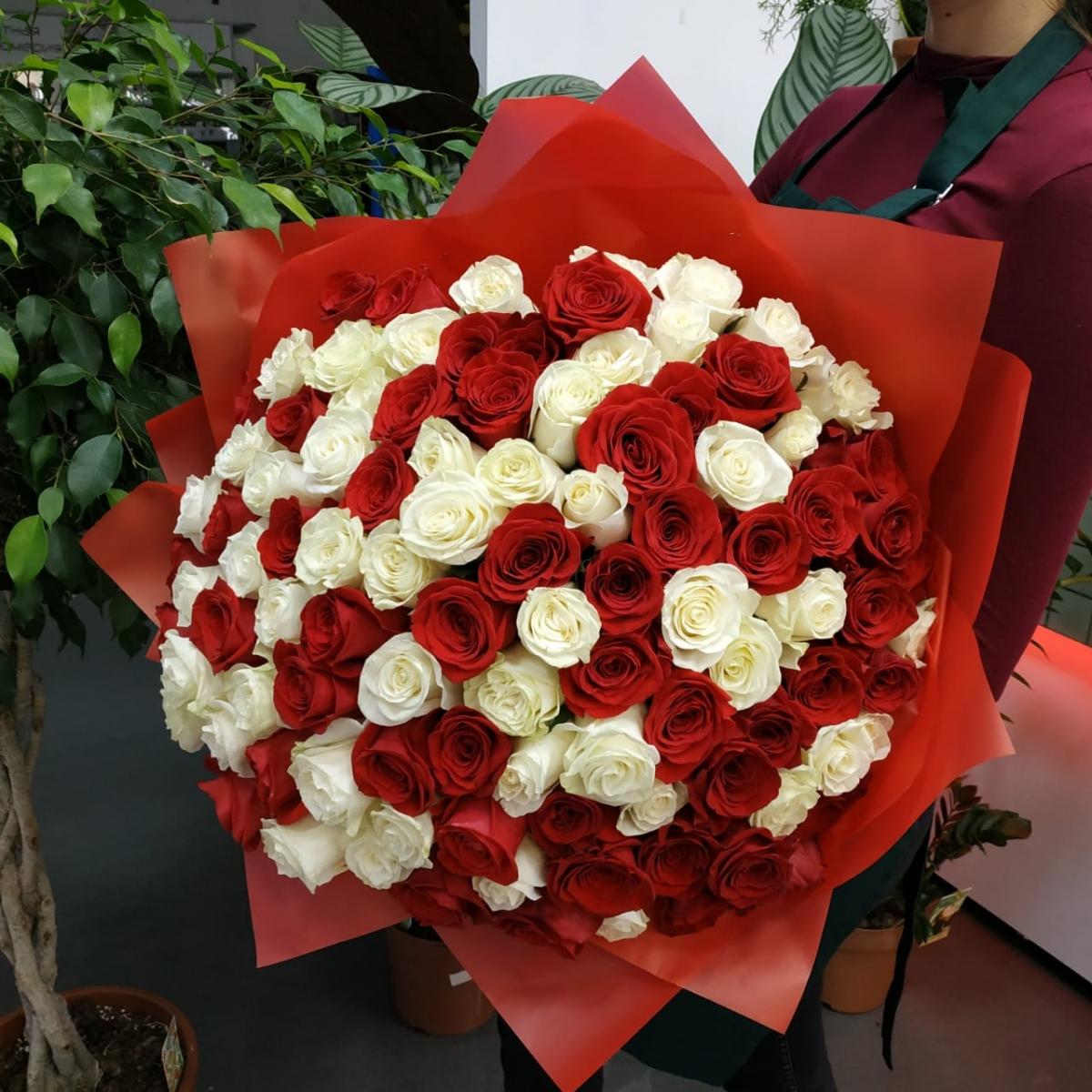 Букет из 101 розы (красные и белые розы) № - 85450ul