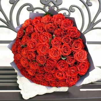 Красная роза Эквадор 51 шт код  148950ul