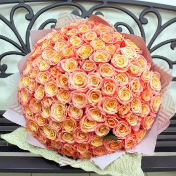Букет Оранжевые розы Эквадор 101 шт (50 см) articul  149300